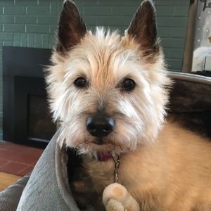 Meet your Posher, Mendy